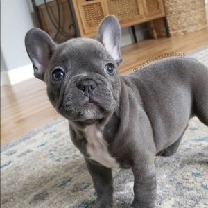 Meet your Posher, Aidan